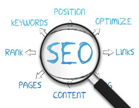Shopify vs WordPress vs Custom Website: Which One Should You Choose?